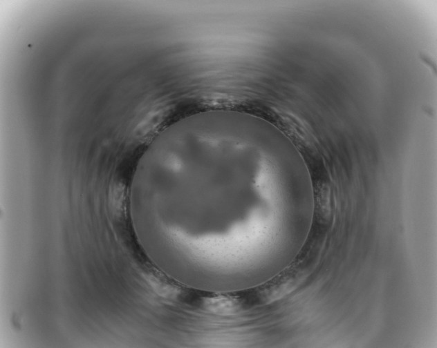 X0000096220511200801251100