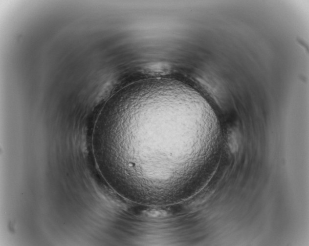 X0000096220512200801251100