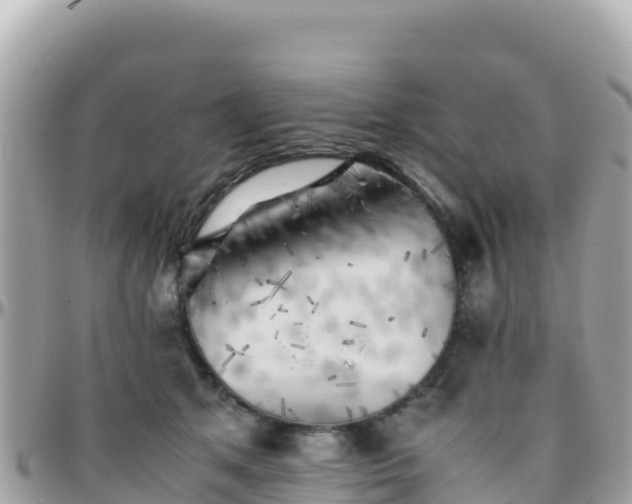 X0000096220513200801251100