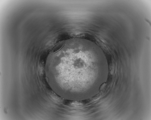 X0000096220515200801251059