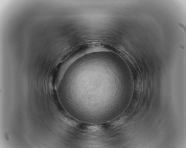 X0000096220516200801251059