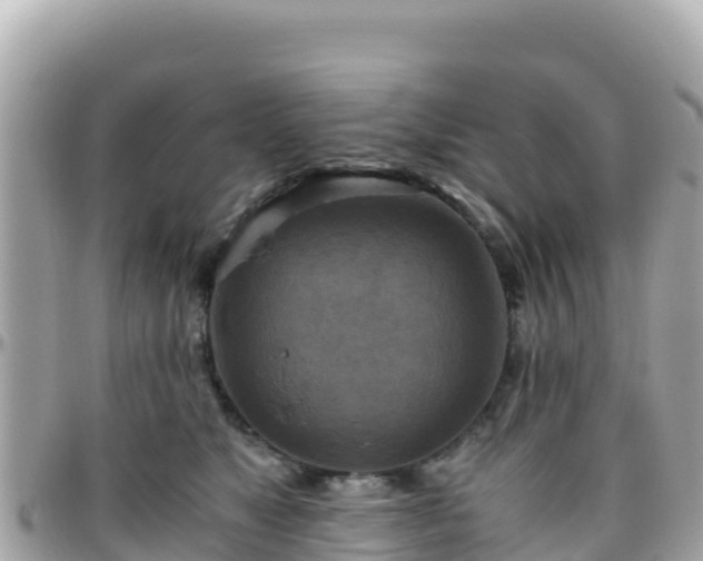 X0000096220517200801251059