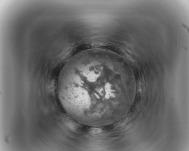 X0000096220519200801251059