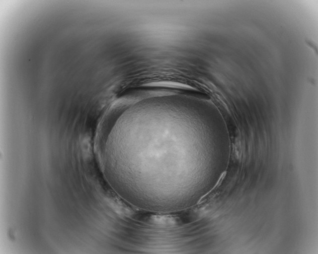 X0000096220520200801251059