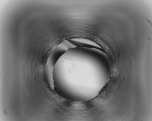 X0000096220521200801251059