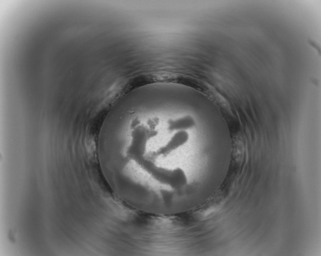 X0000096220523200801251059