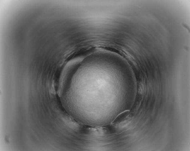 X0000096220524200801251059