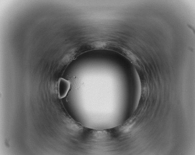 X0000096220525200801251059