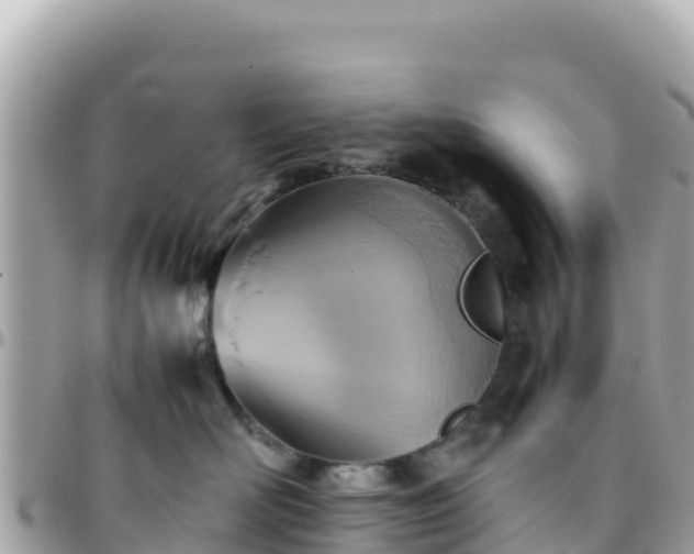 X0000096220526200801251059