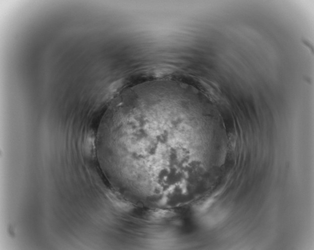 X0000096220527200801251059