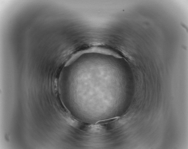 X0000096220528200801251059