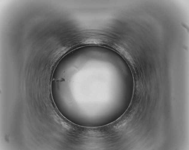 X0000096220529200801251058