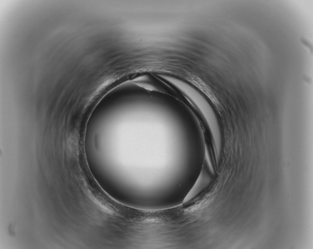 X0000096220530200801251059