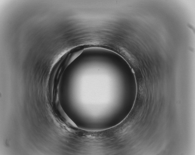 X0000096220532200801251059