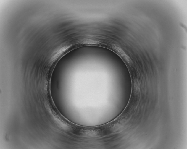 X0000096220533200801251059