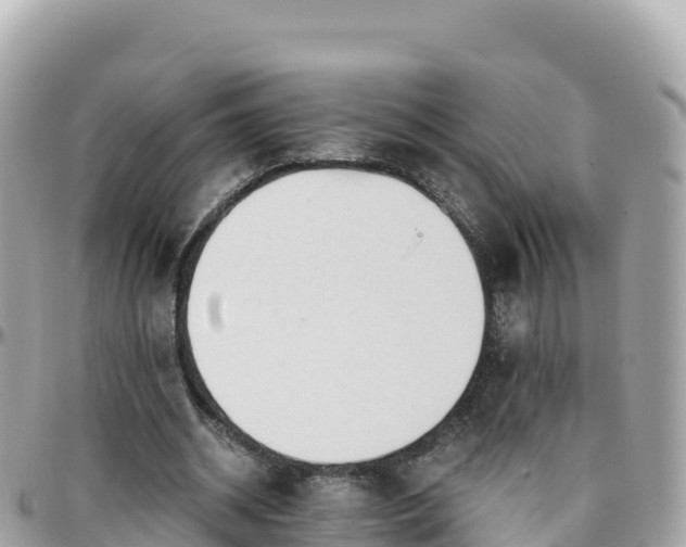 X0000096220534200801251059