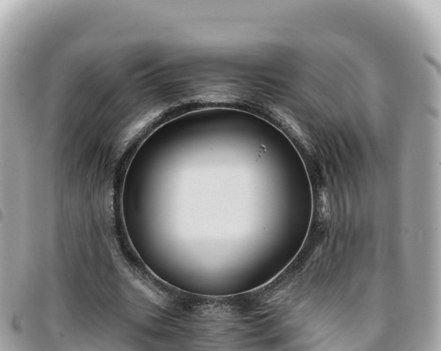 X0000096220535200801251059