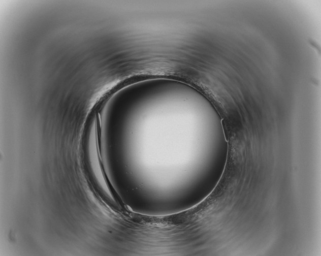 X0000096220536200801251059