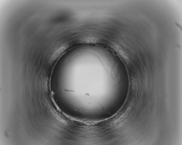 X0000096220537200801251059