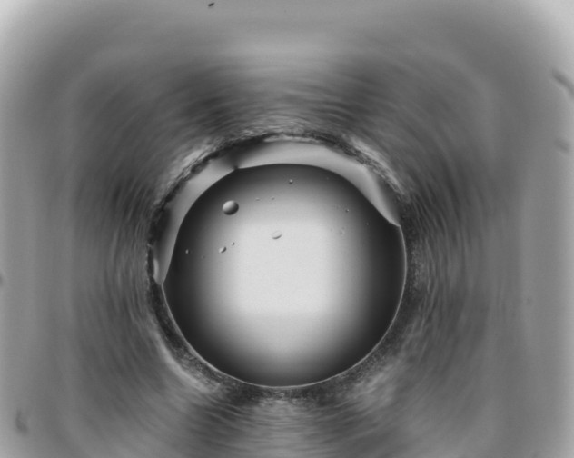 X0000096220538200801251059