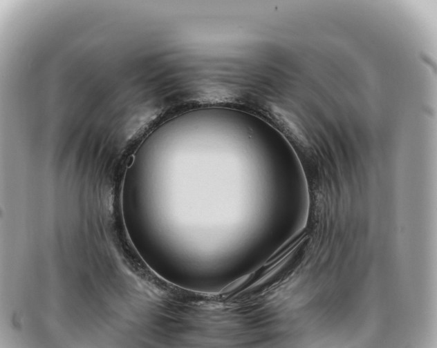 X0000096220539200801251059