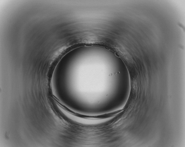 X0000096220540200801251059