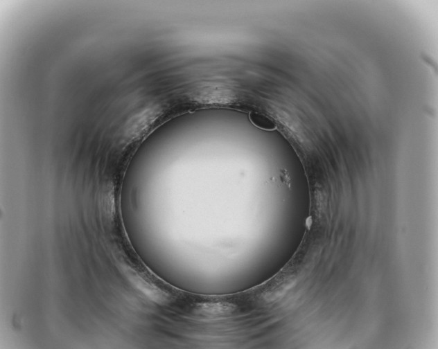 X0000096220541200801251059