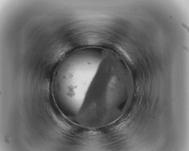 X0000096220542200801251059