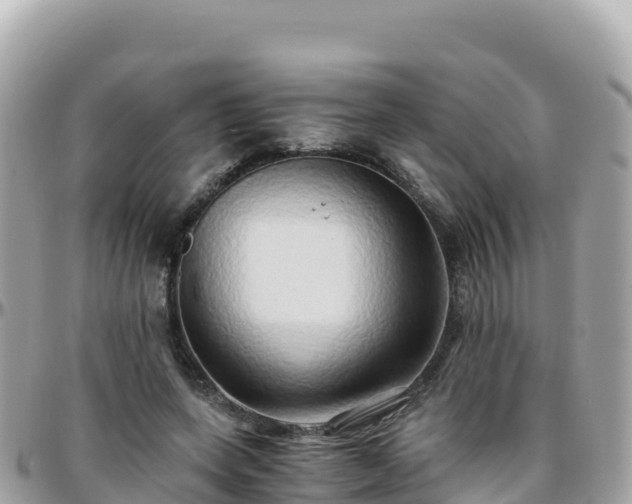 X0000096220543200801251059