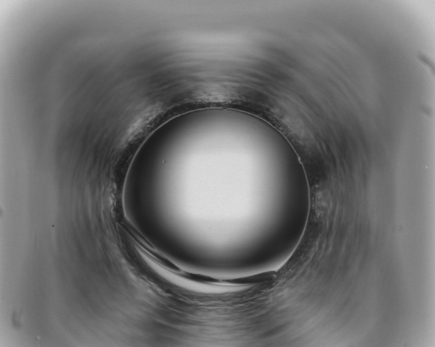 X0000096220544200801251059