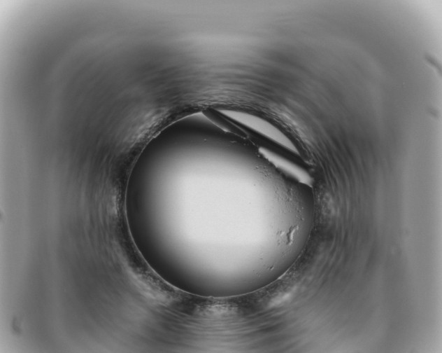 X0000096220546200801251059