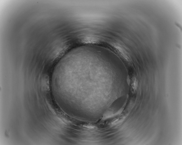 X0000096220547200801251059