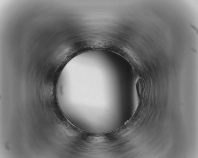 X0000096220548200801251059