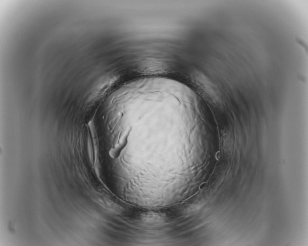 X0000096220549200801251059