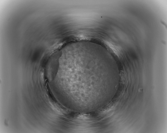 X0000096220550200801251059