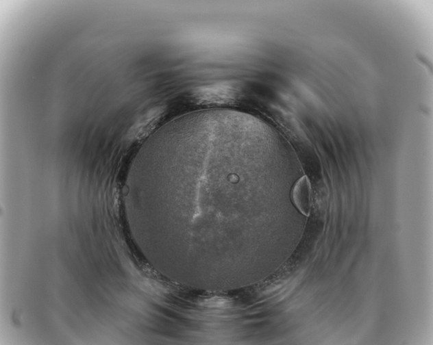 X0000096220551200801251059