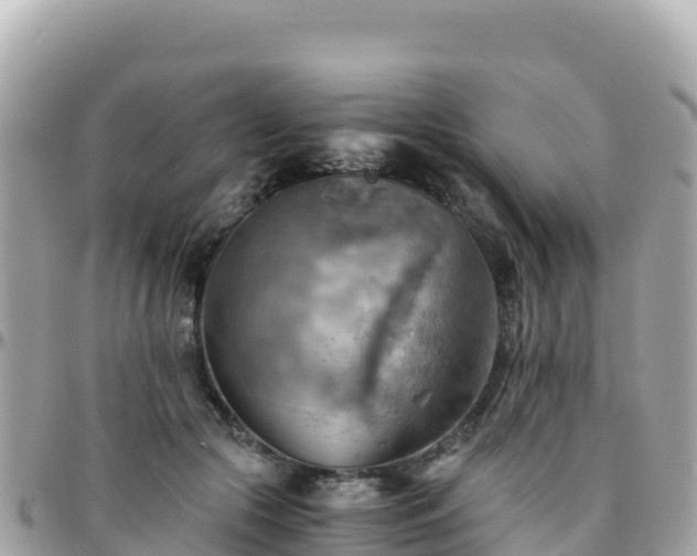 X0000096220553200801251059