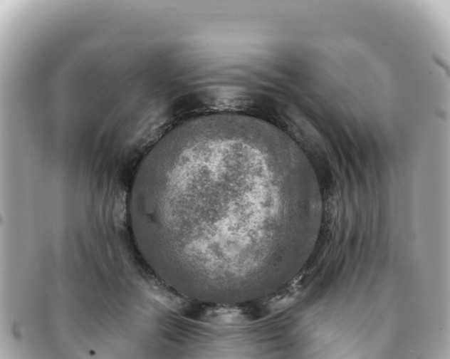 X0000096220554200801251059