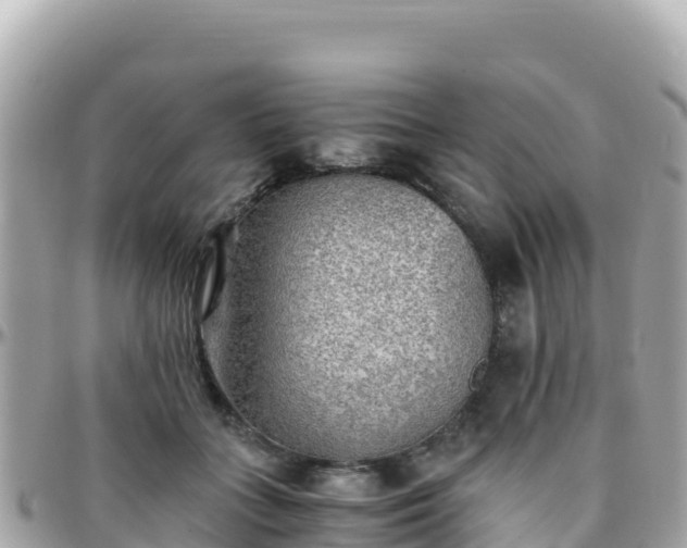 X0000096220555200801251059