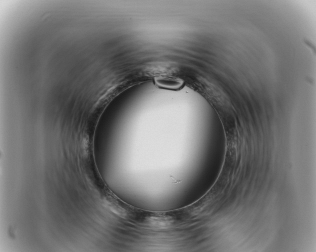 X0000096220556200801251059