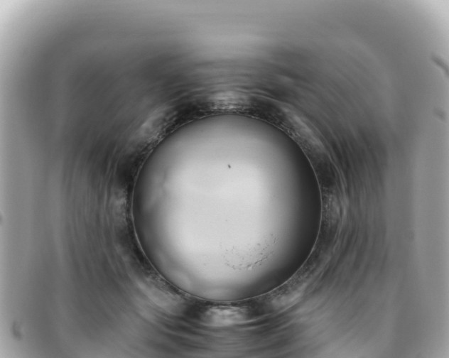 X0000096220557200801251059