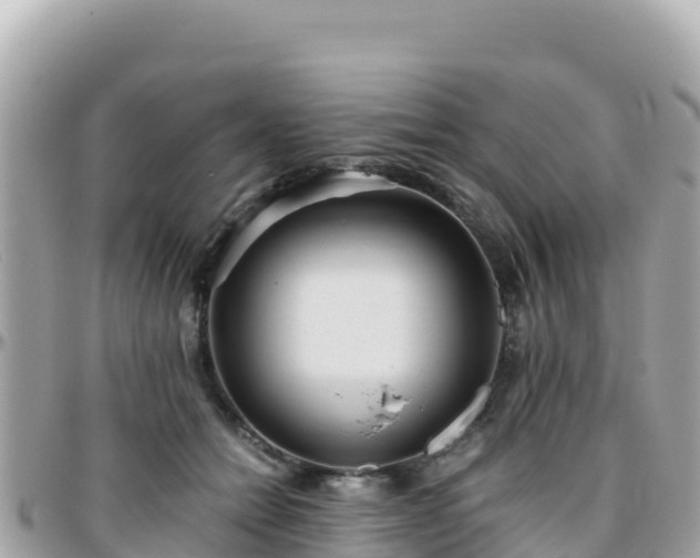 X0000096220558200801251059