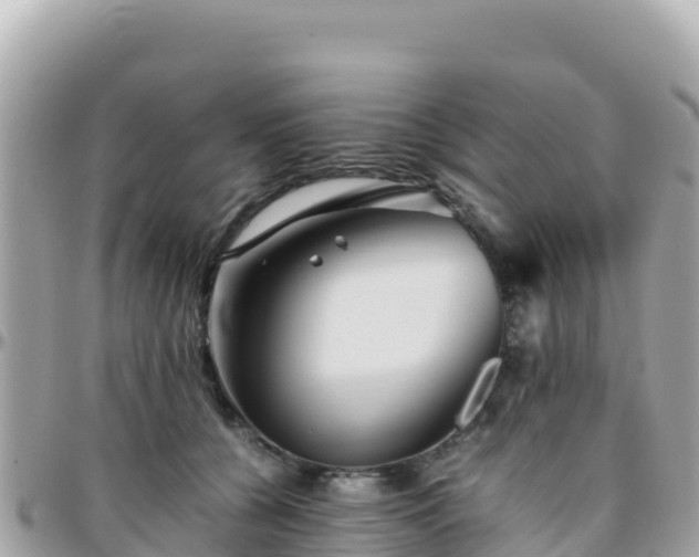 X0000096220560200801251059