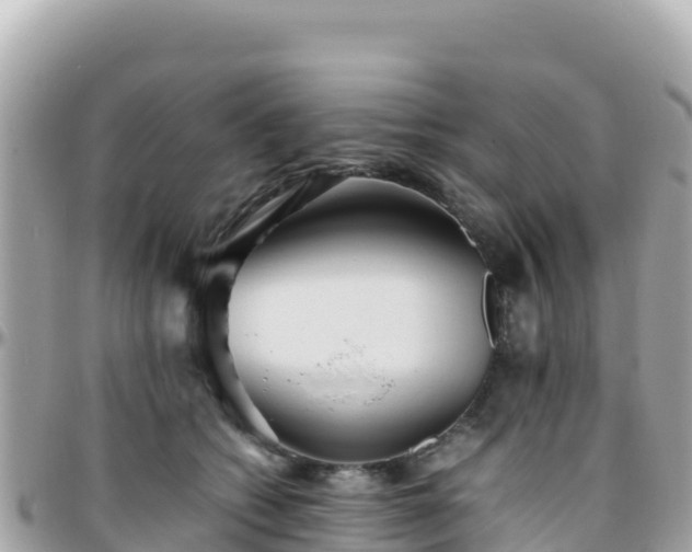 X0000096220562200801251059