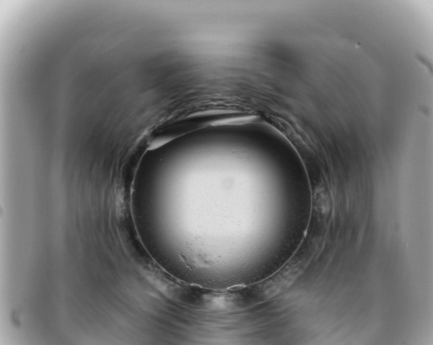 X0000096220564200801251059