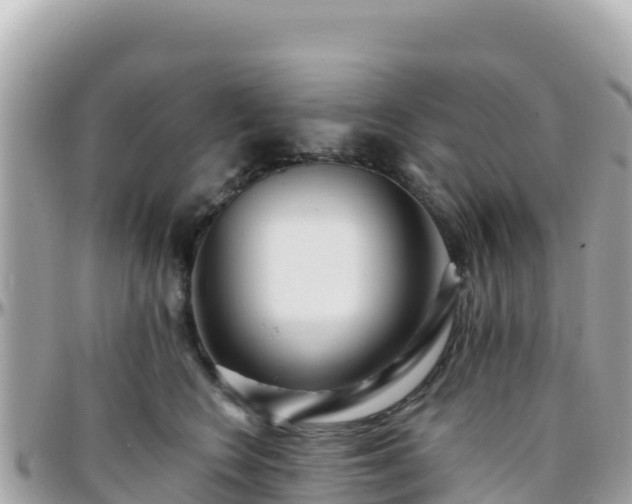 X0000096220566200801251059