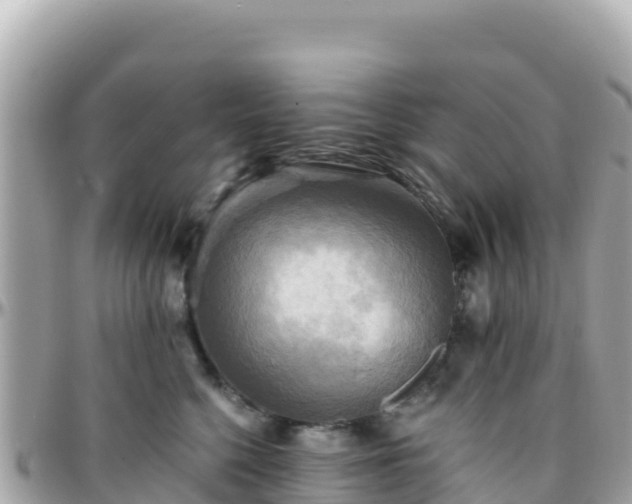 X0000096220568200801251059