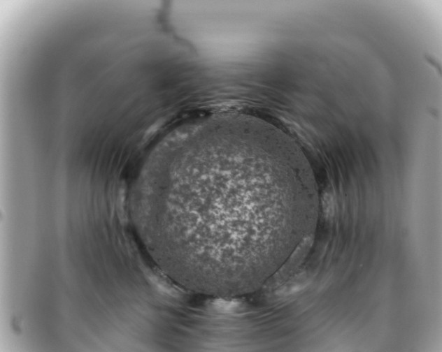 X0000096220570200801251059