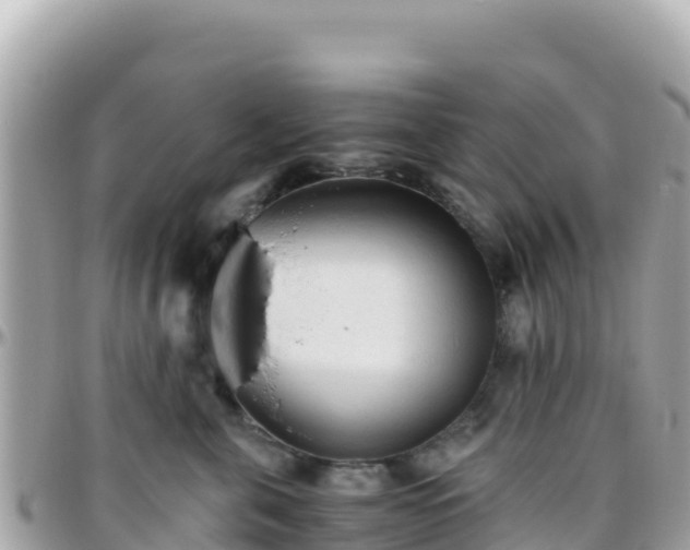 X0000096220571200801251059