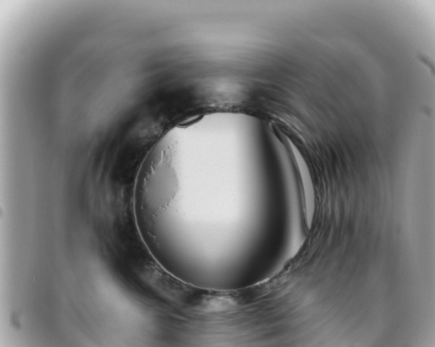 X0000096220572200801251059